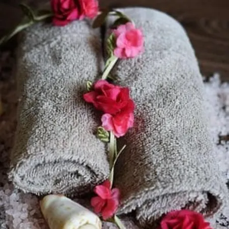 Bed & Breakfast Le Club De La Source